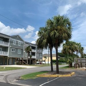 Meet your Posher, Dariya